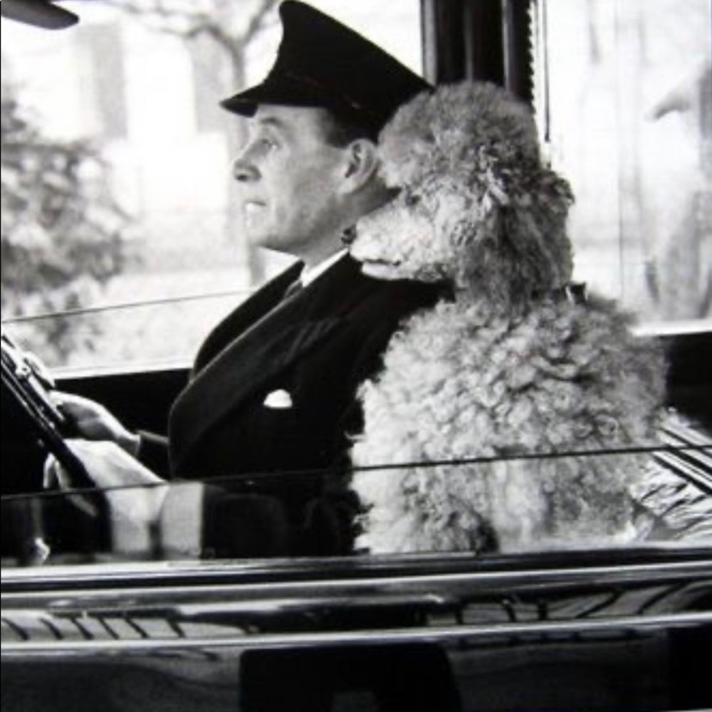 🌟Design House Pillow - Picture 16 of 16